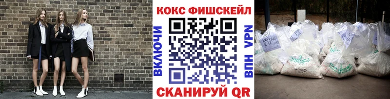 Купить где  Серафимович  Cocaine 98% 