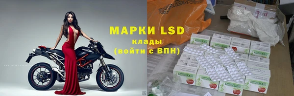 шишки Вязьма