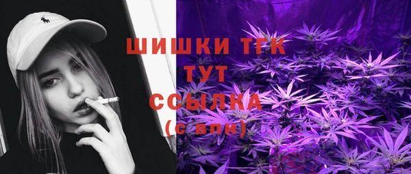шишки Вязьма
