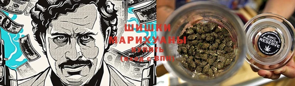 шишки Вязьма