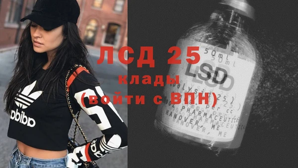 шишки Вязьма