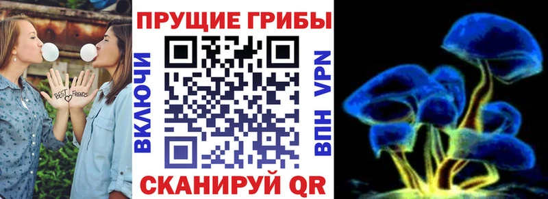 Псилоцибиновые грибы Psilocybine cubensis  Купить  Серафимович 